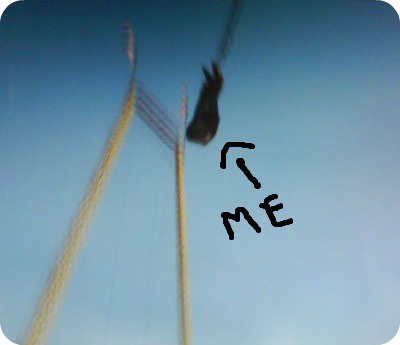 bungee
